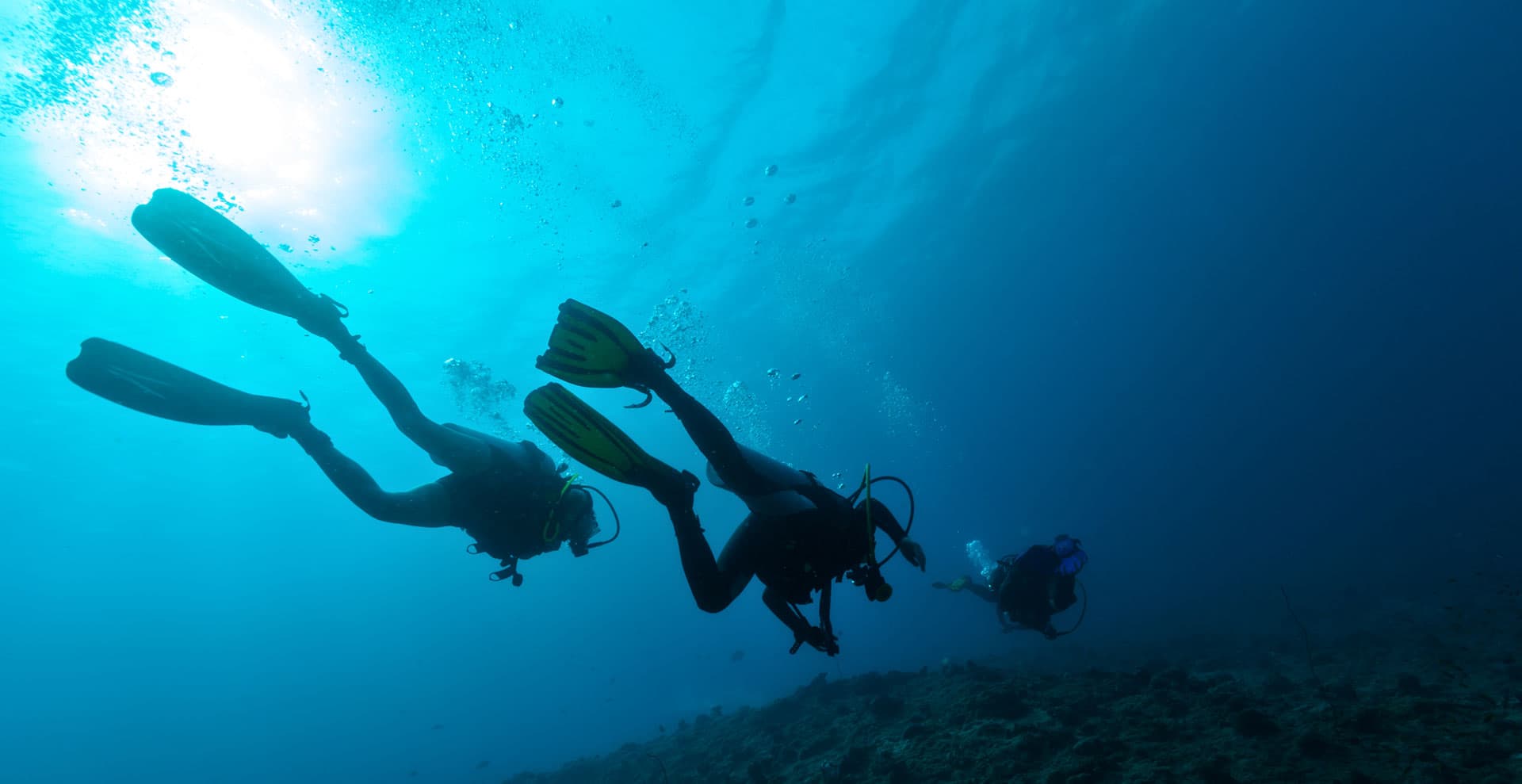 Consulta unidad del buceo en Ribeira